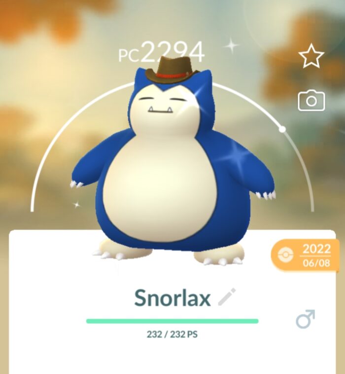 Snorlax Hat Shiny