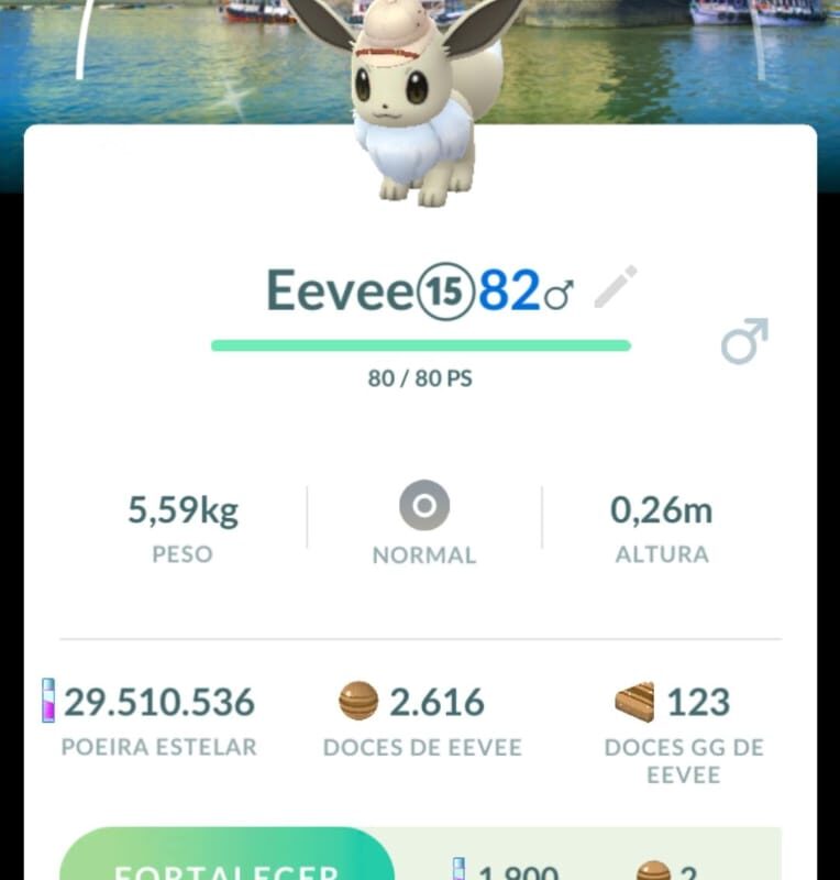 Eevee Com Fundo Especial de Mumbai