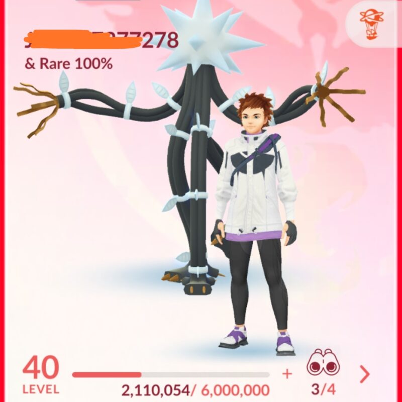 CONTA RED - NV40 - XURKITREE 100%