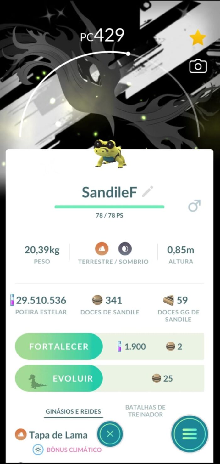 Sandile Com Fundo Black Shiny