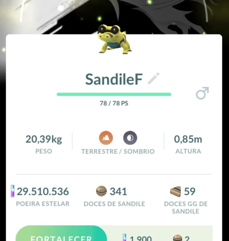 Sandile Com Fundo Black Shiny