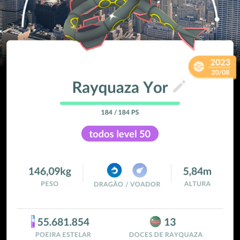 Rayquaza shyhy fundo nova York